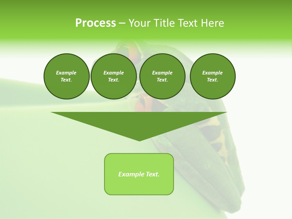 Isolated Animal Green PowerPoint Template