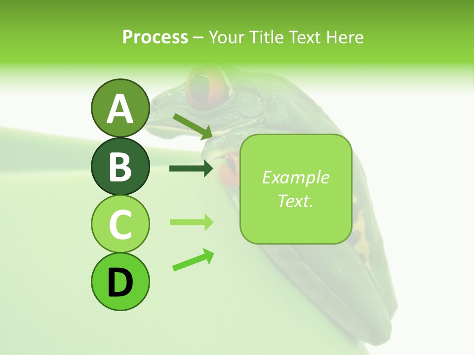 Isolated Animal Green PowerPoint Template