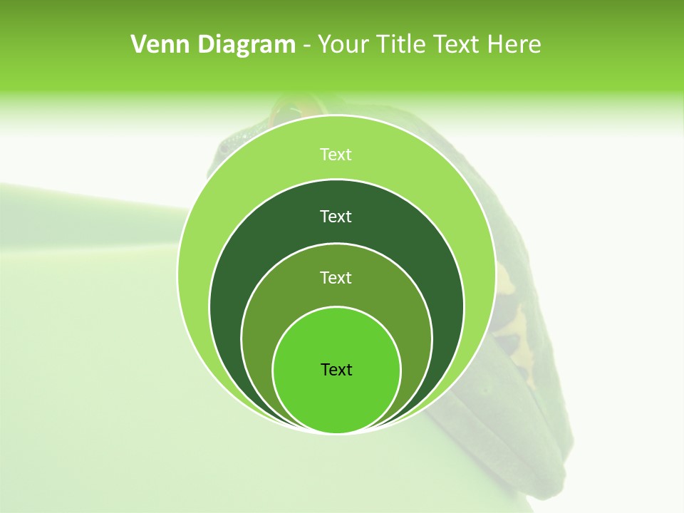 Isolated Animal Green PowerPoint Template
