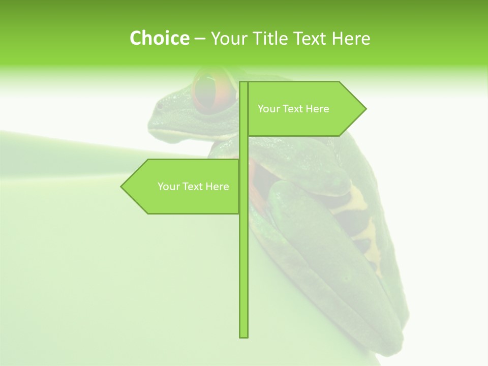 Isolated Animal Green PowerPoint Template