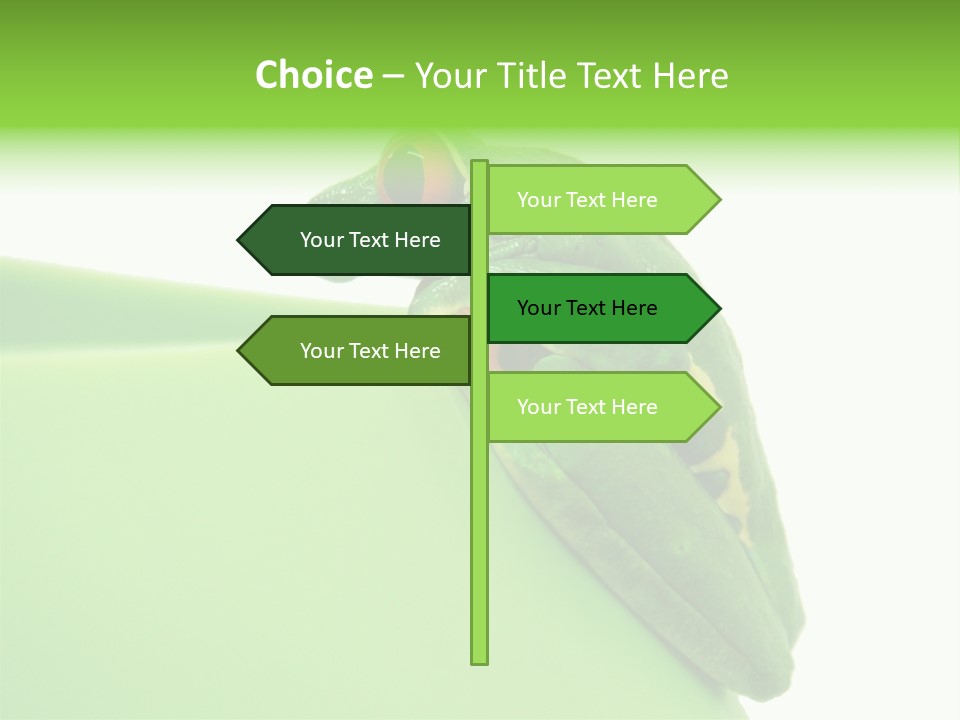 Isolated Animal Green PowerPoint Template