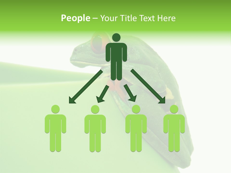 Isolated Animal Green PowerPoint Template