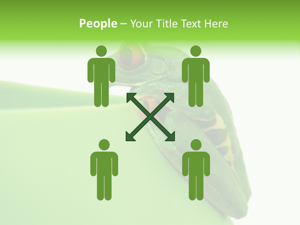 Isolated Animal Green PowerPoint Template