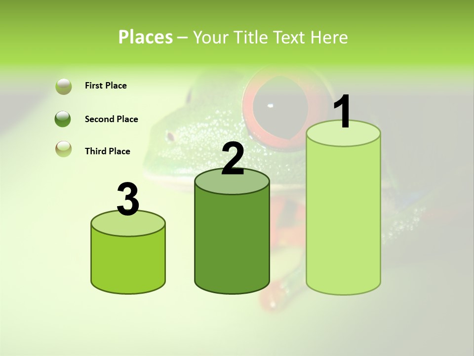 Wildlife Tree Frog Isolated On White PowerPoint Template