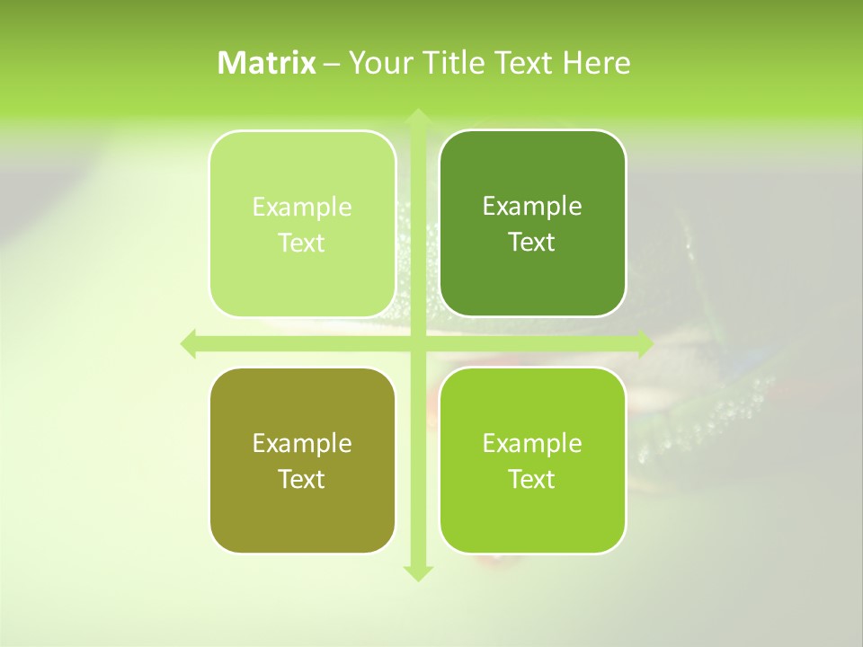 Wildlife Tree Frog Isolated On White PowerPoint Template