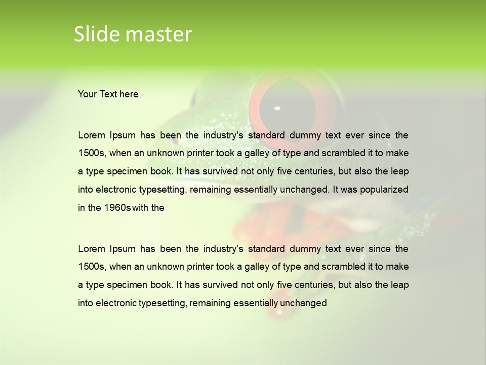 Wildlife Tree Frog Isolated On White PowerPoint Template