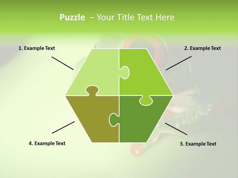 Wildlife Tree Frog Isolated On White PowerPoint Template