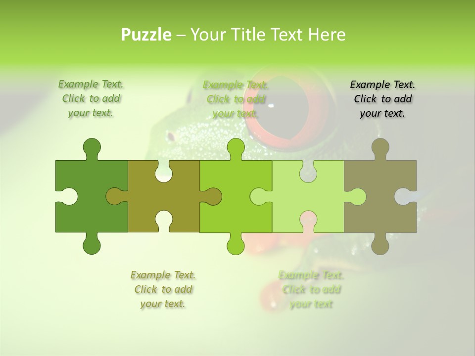 Wildlife Tree Frog Isolated On White PowerPoint Template