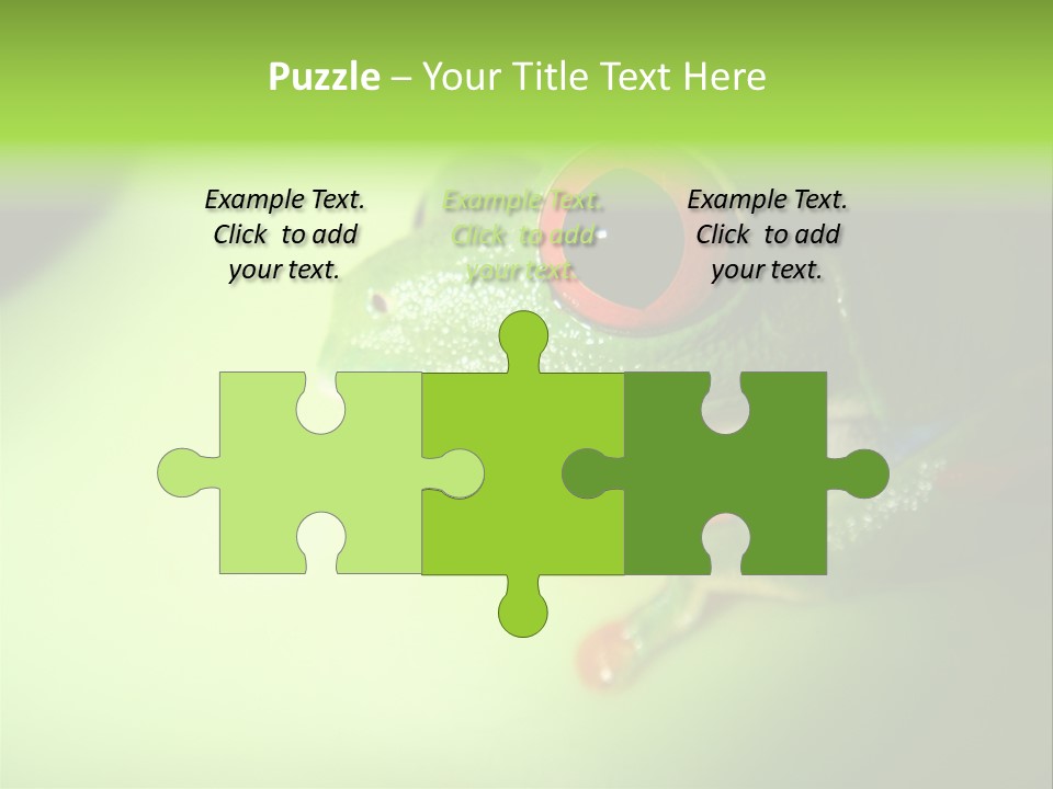 Wildlife Tree Frog Isolated On White PowerPoint Template