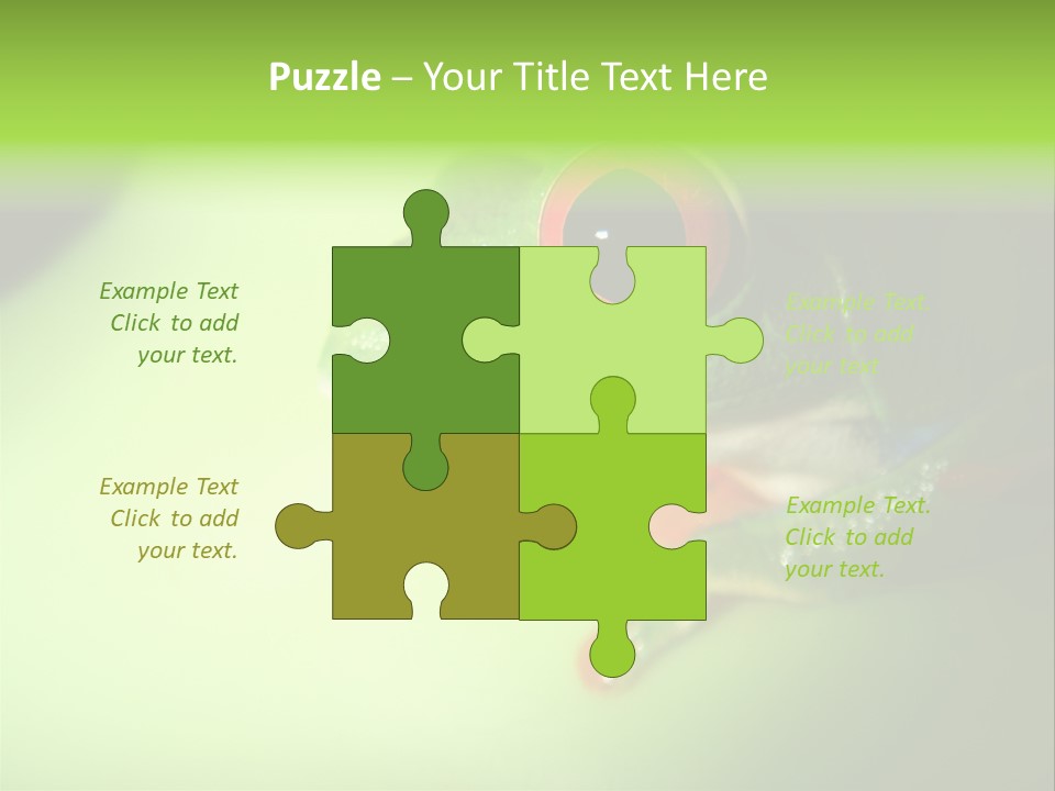 Wildlife Tree Frog Isolated On White PowerPoint Template