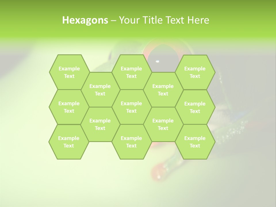 Wildlife Tree Frog Isolated On White PowerPoint Template