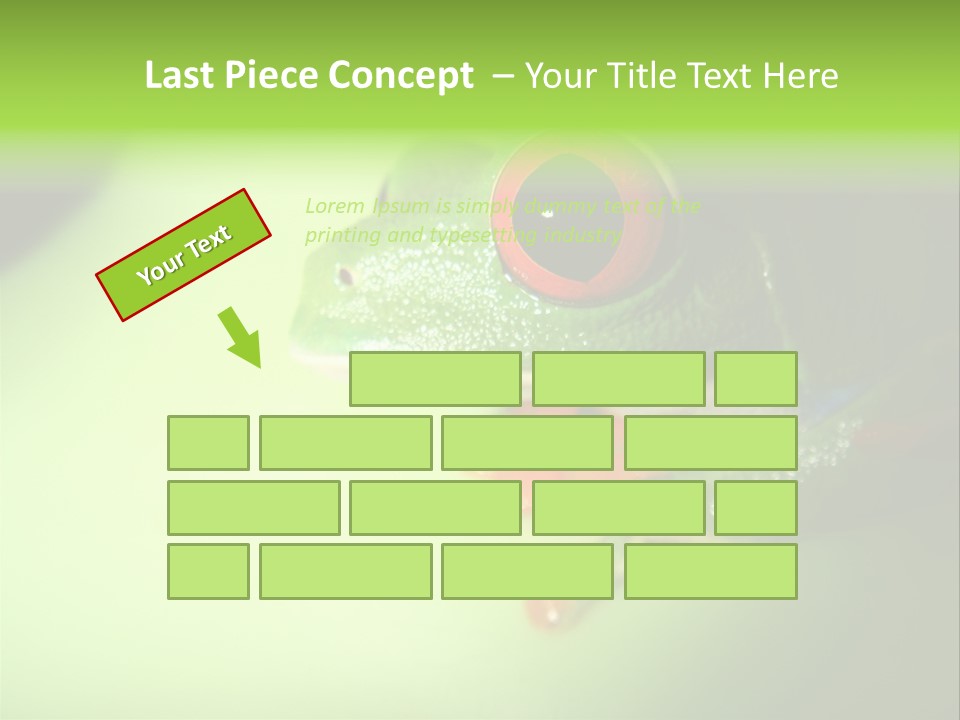 Wildlife Tree Frog Isolated On White PowerPoint Template