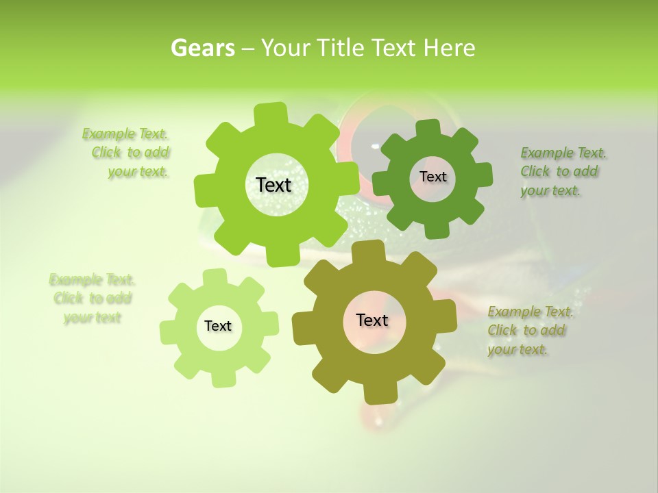 Wildlife Tree Frog Isolated On White PowerPoint Template