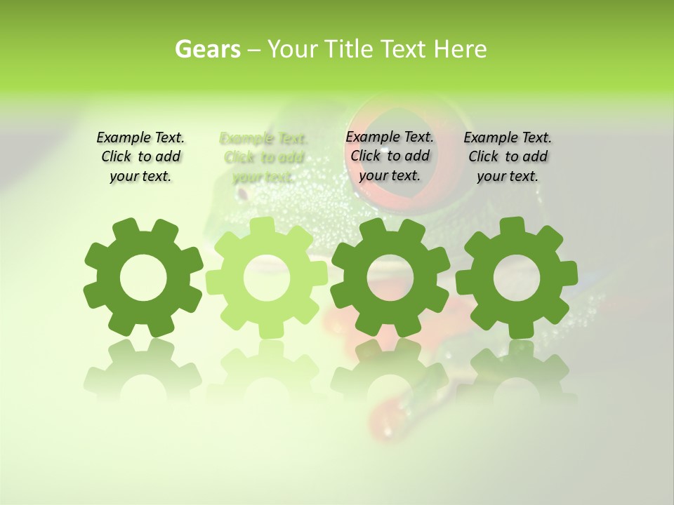 Wildlife Tree Frog Isolated On White PowerPoint Template