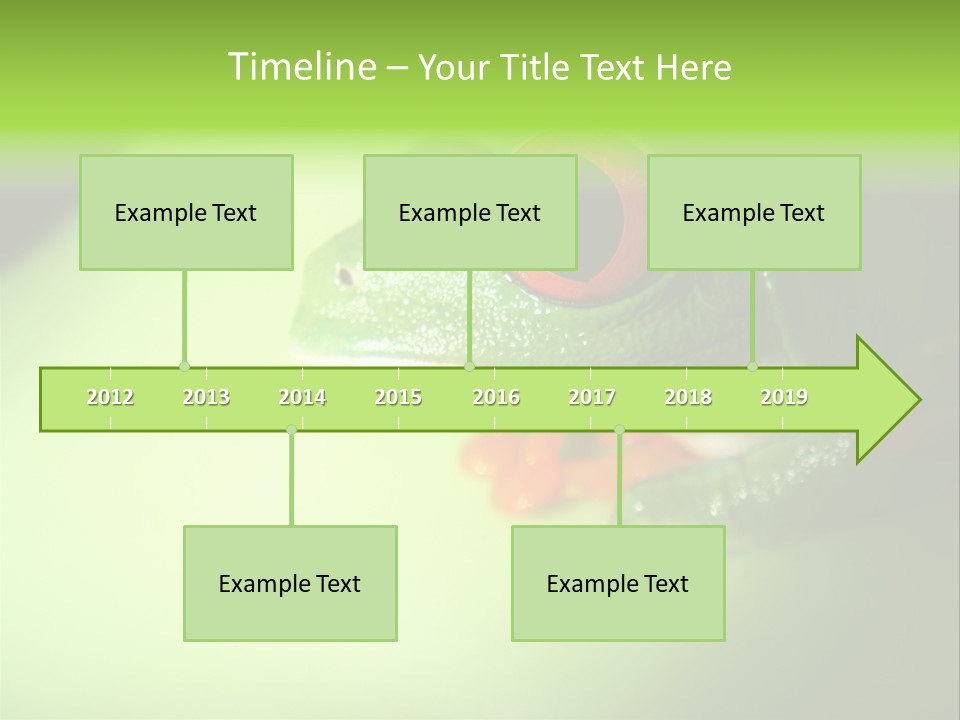 Wildlife Tree Frog Isolated On White PowerPoint Template