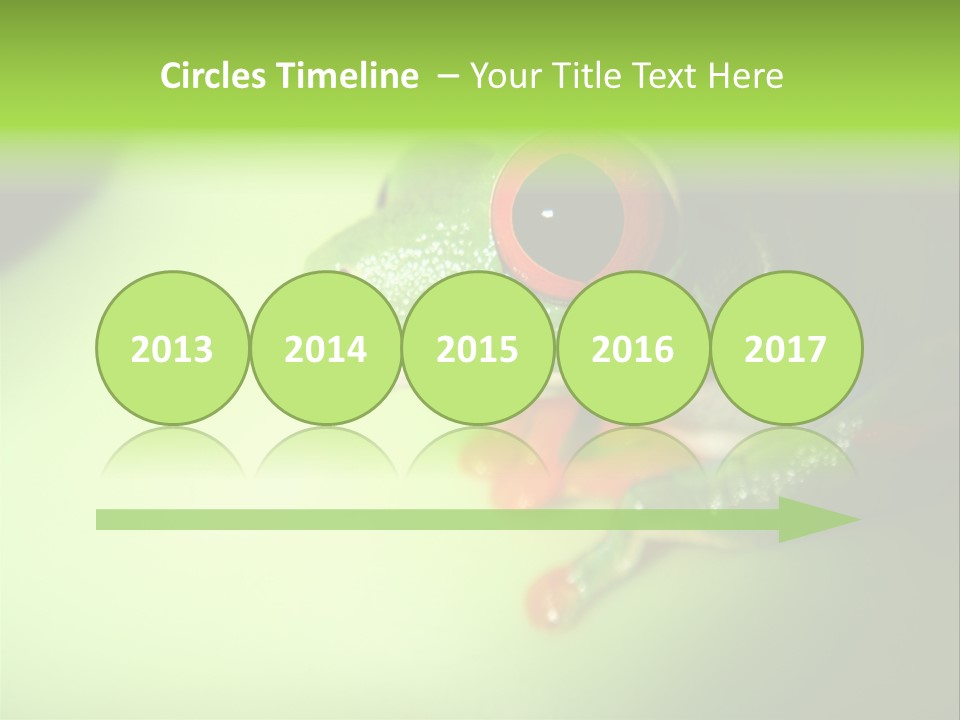 Wildlife Tree Frog Isolated On White PowerPoint Template