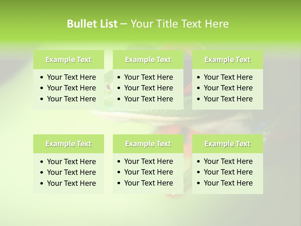 Wildlife Tree Frog Isolated On White PowerPoint Template