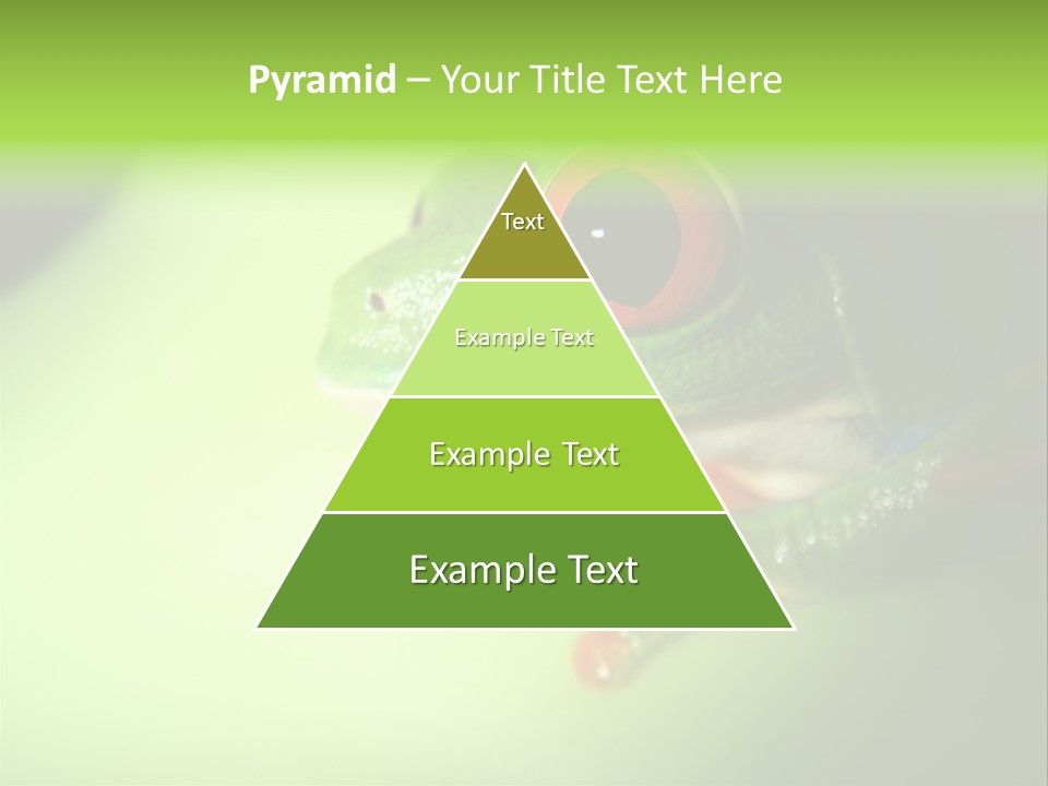 Wildlife Tree Frog Isolated On White PowerPoint Template