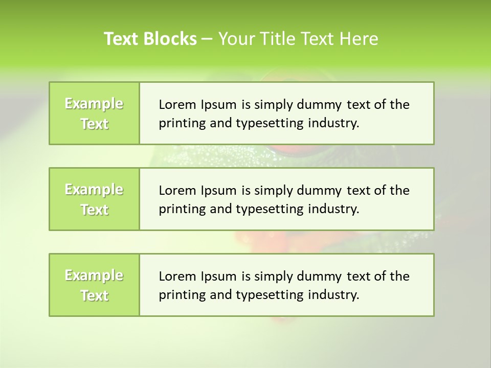 Wildlife Tree Frog Isolated On White PowerPoint Template