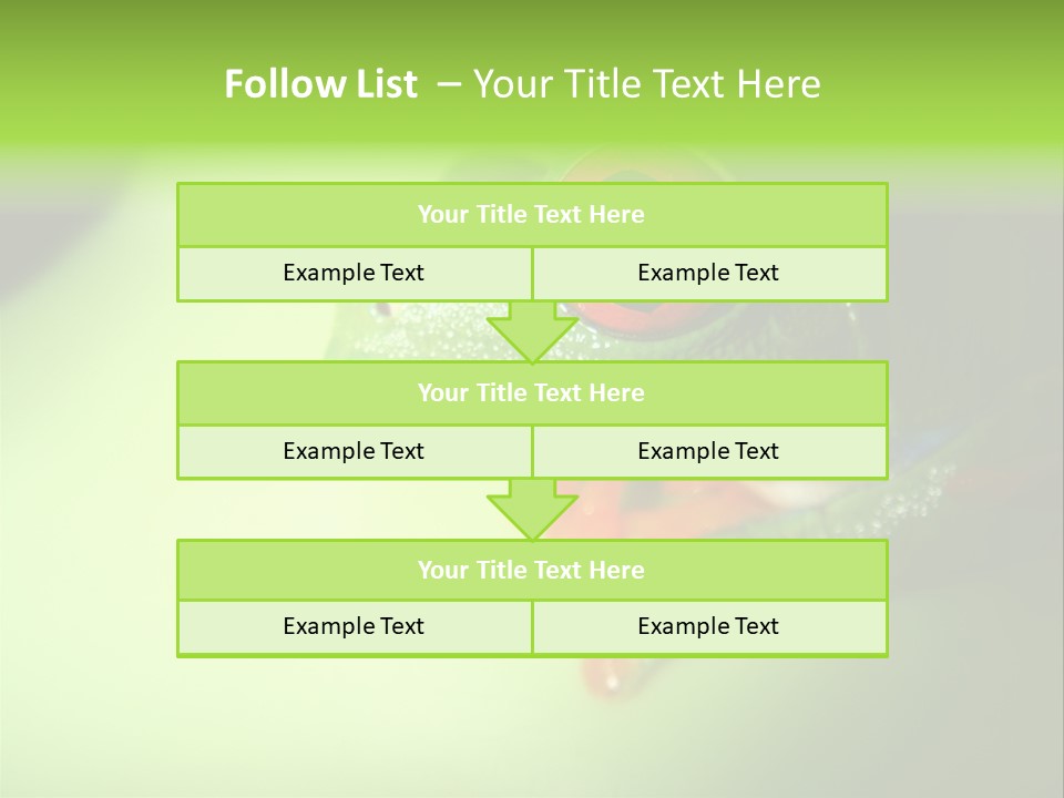 Wildlife Tree Frog Isolated On White PowerPoint Template