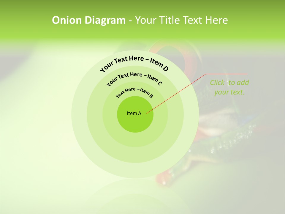 Wildlife Tree Frog Isolated On White PowerPoint Template