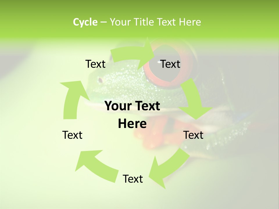 Wildlife Tree Frog Isolated On White PowerPoint Template