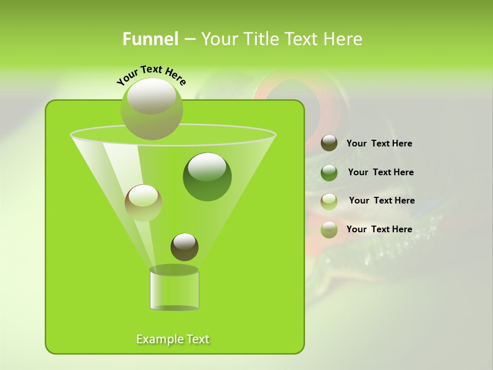 Wildlife Tree Frog Isolated On White PowerPoint Template