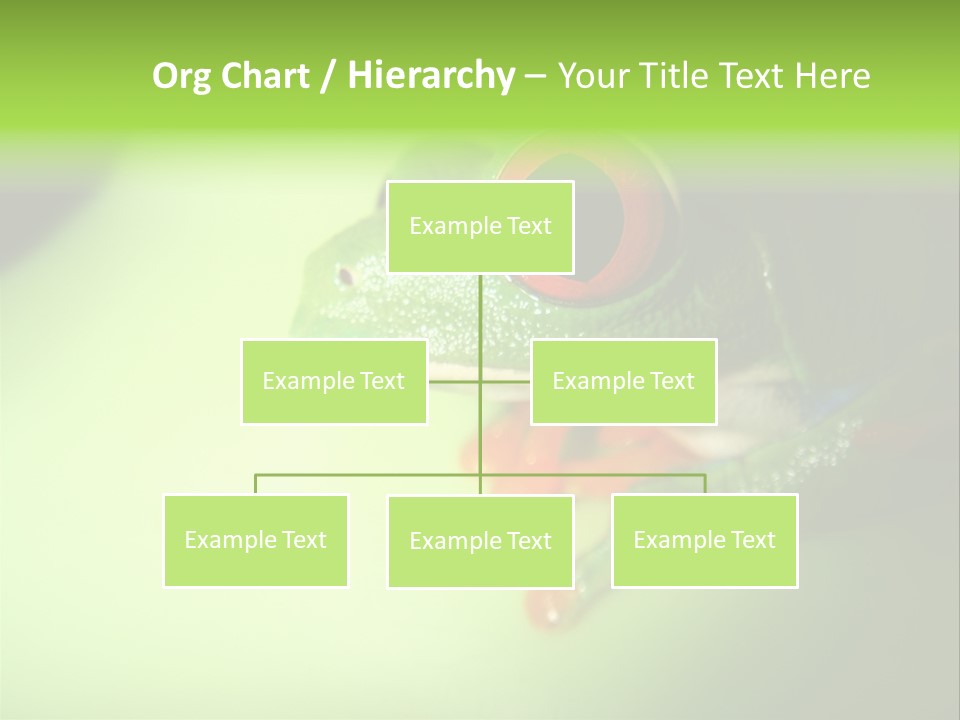 Wildlife Tree Frog Isolated On White PowerPoint Template