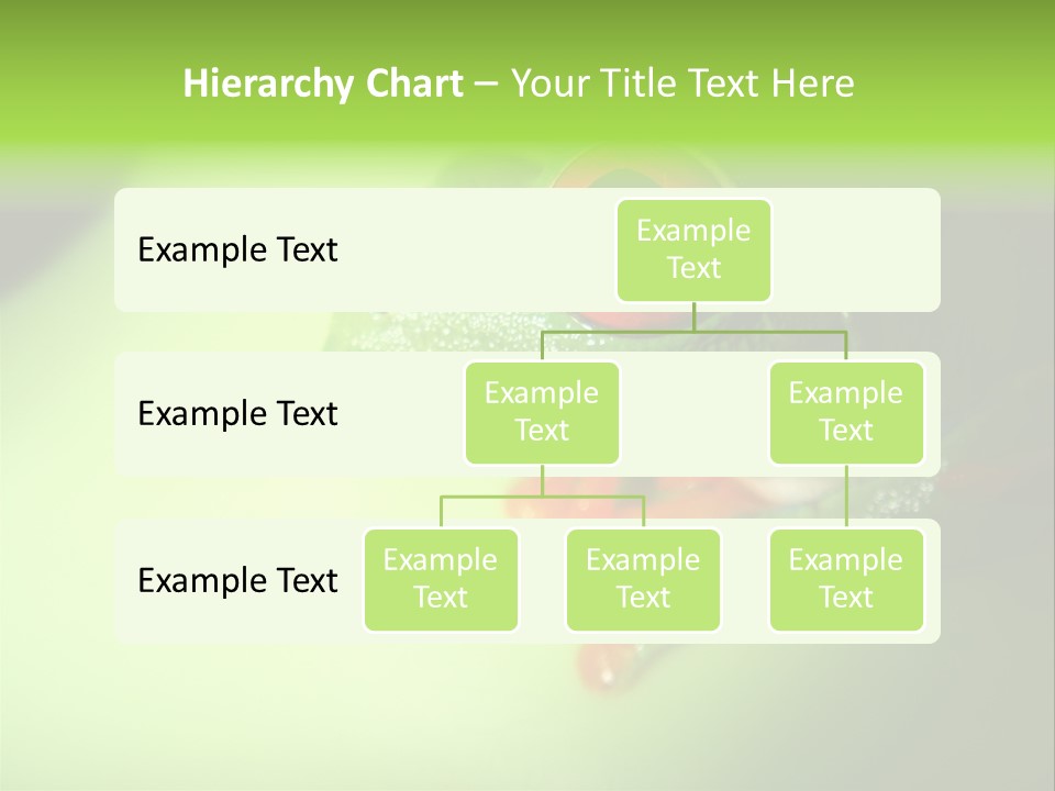 Wildlife Tree Frog Isolated On White PowerPoint Template