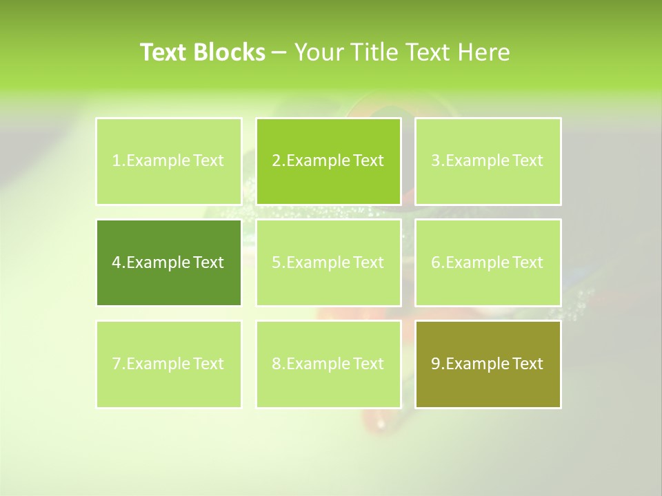 Wildlife Tree Frog Isolated On White PowerPoint Template