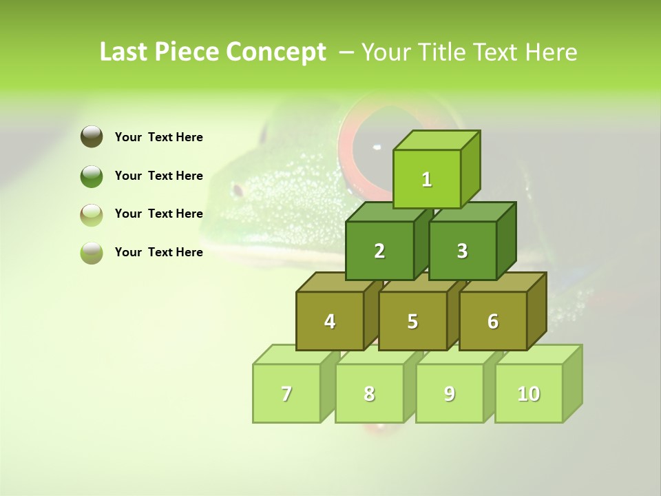 Wildlife Tree Frog Isolated On White PowerPoint Template