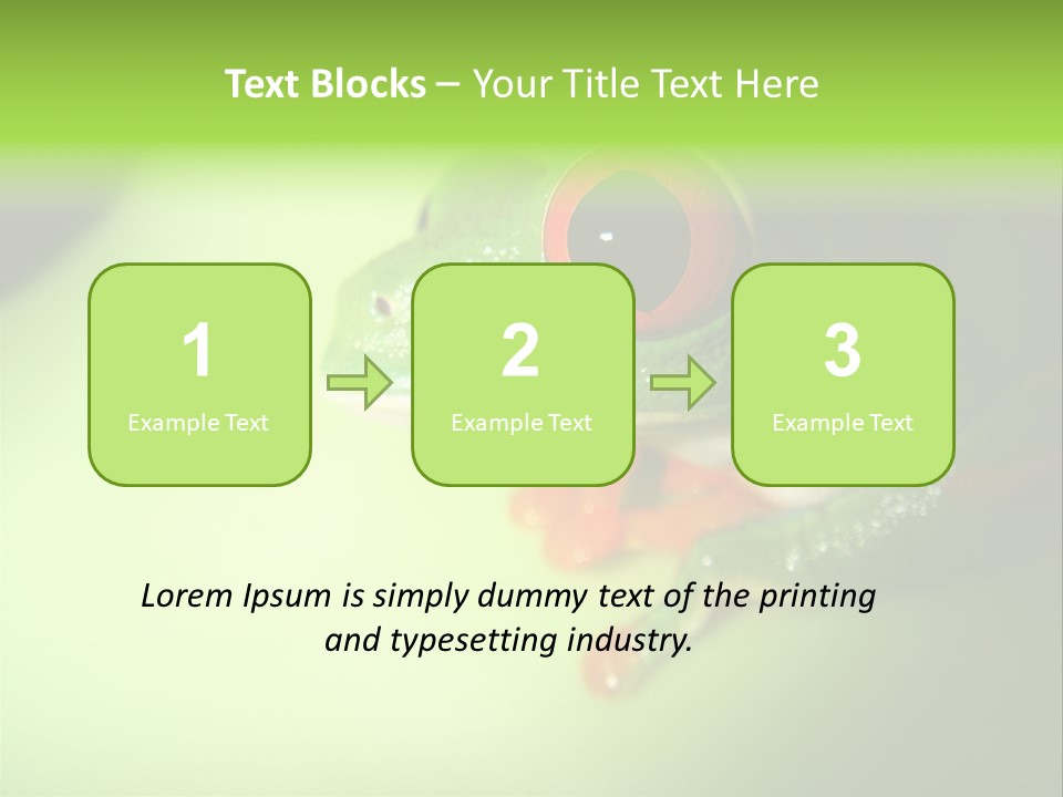 Wildlife Tree Frog Isolated On White PowerPoint Template