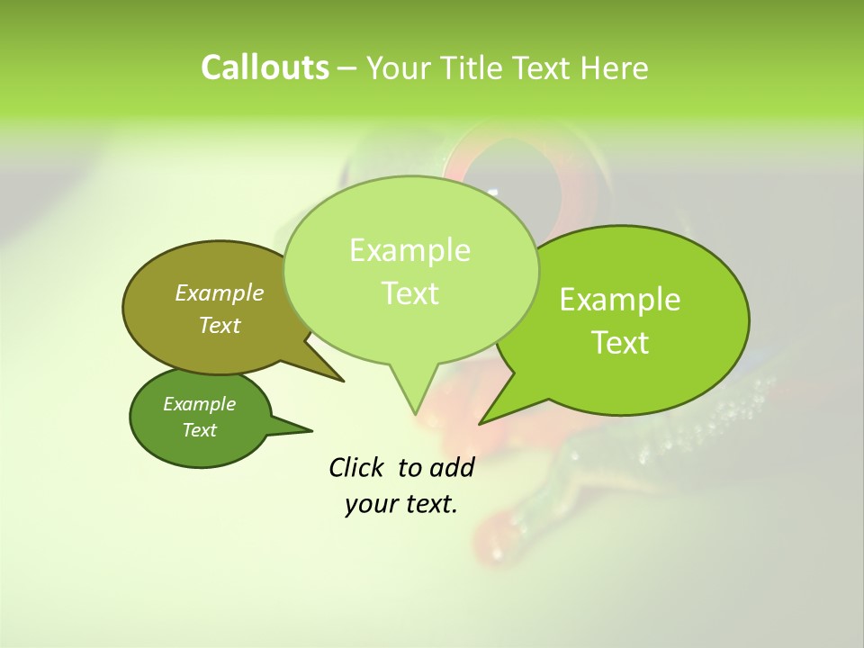 Wildlife Tree Frog Isolated On White PowerPoint Template