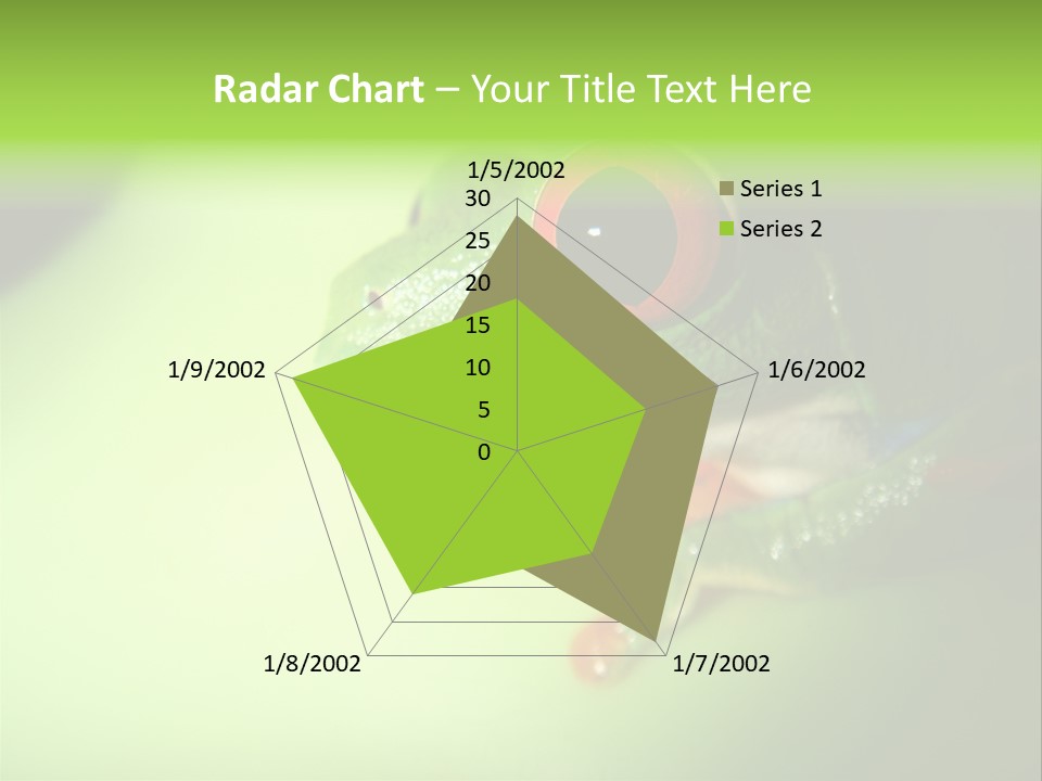 Wildlife Tree Frog Isolated On White PowerPoint Template