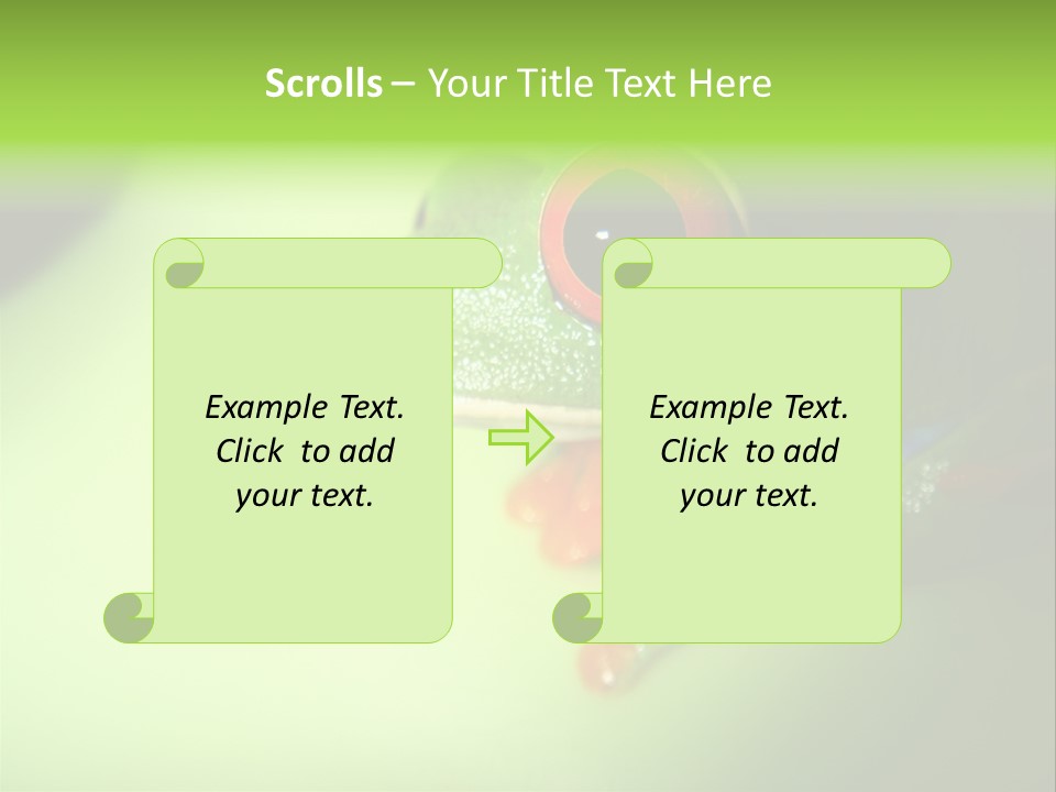 Wildlife Tree Frog Isolated On White PowerPoint Template