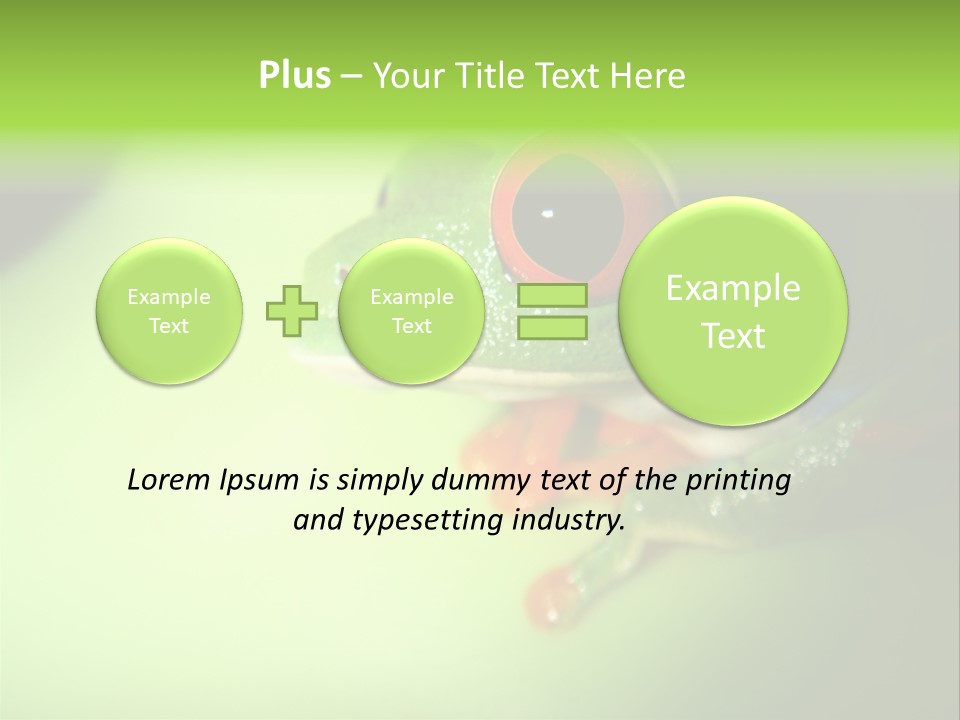 Wildlife Tree Frog Isolated On White PowerPoint Template