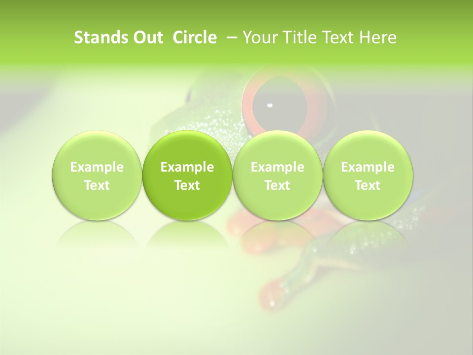 Wildlife Tree Frog Isolated On White PowerPoint Template