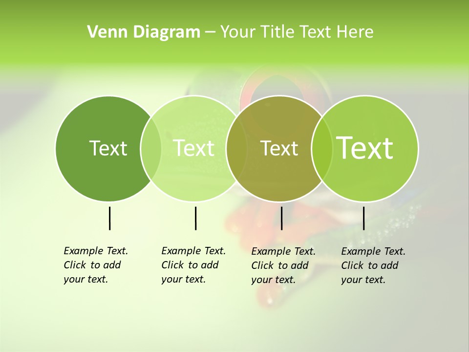 Wildlife Tree Frog Isolated On White PowerPoint Template