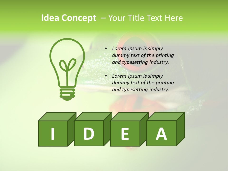 Wildlife Tree Frog Isolated On White PowerPoint Template