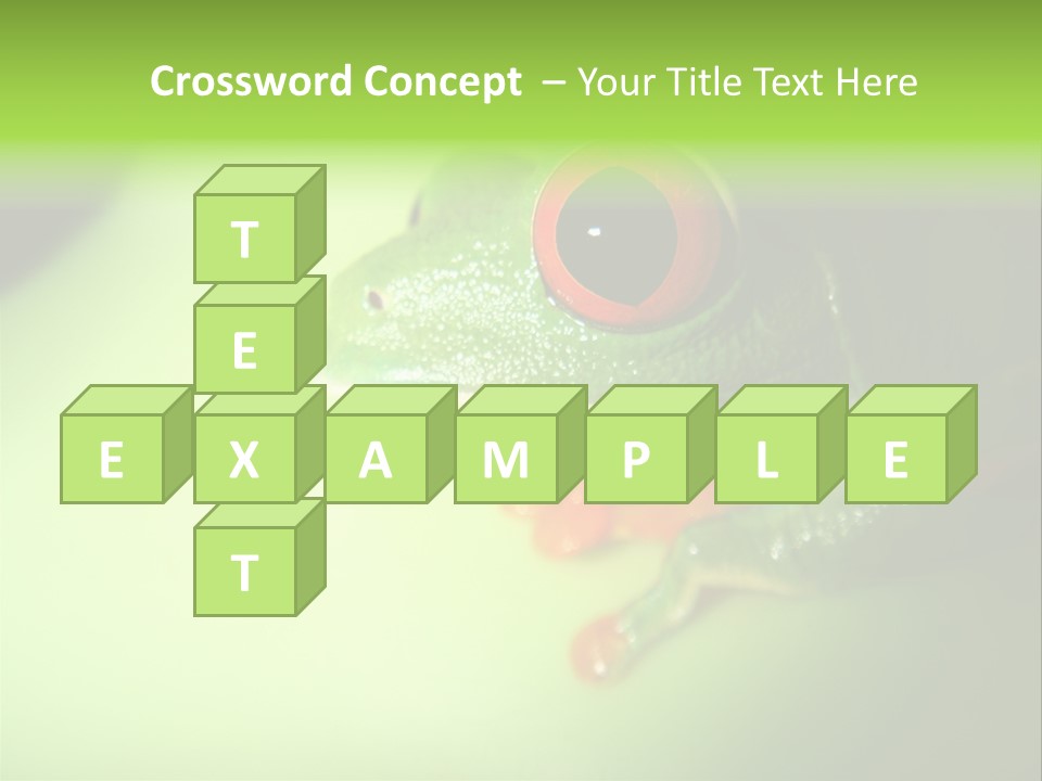 Wildlife Tree Frog Isolated On White PowerPoint Template