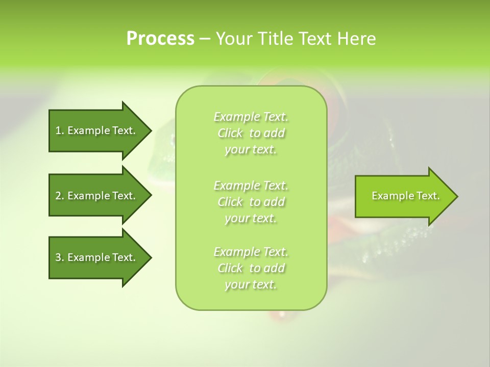 Wildlife Tree Frog Isolated On White PowerPoint Template