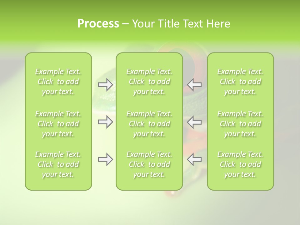 Wildlife Tree Frog Isolated On White PowerPoint Template