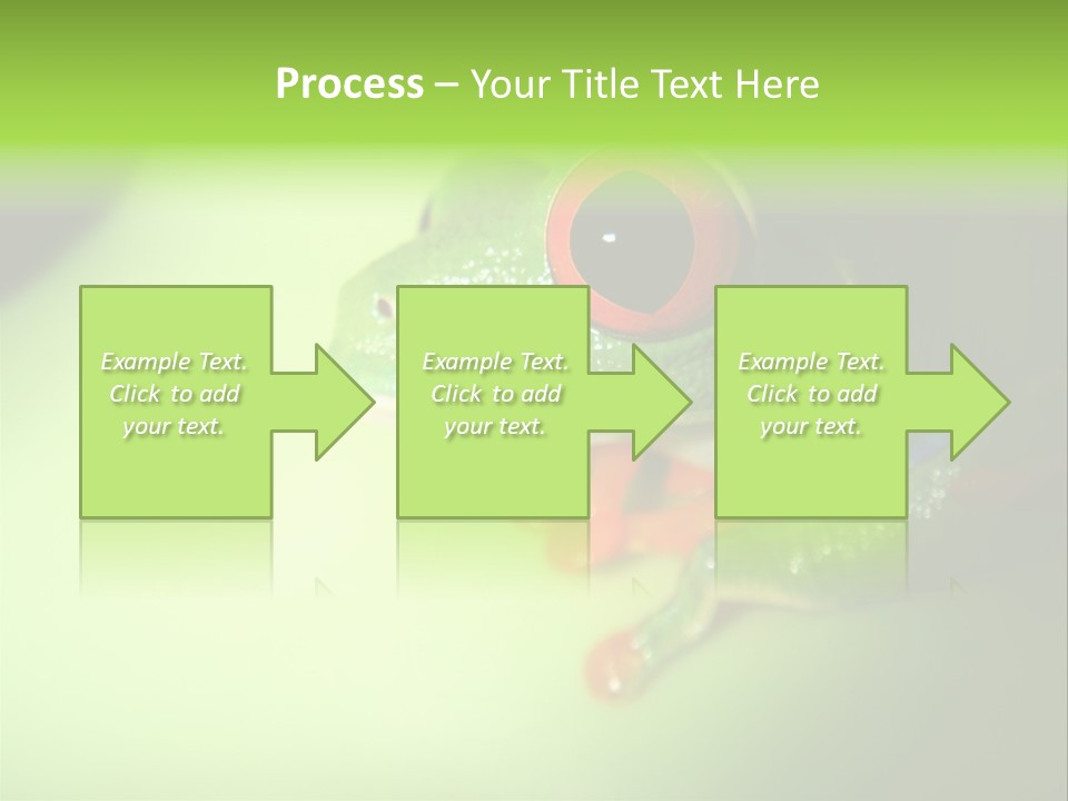 Wildlife Tree Frog Isolated On White PowerPoint Template