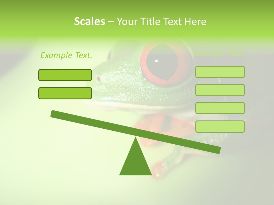 Wildlife Tree Frog Isolated On White PowerPoint Template