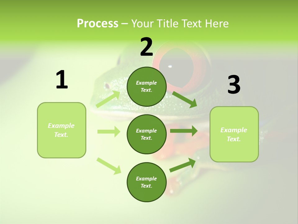 Wildlife Tree Frog Isolated On White PowerPoint Template