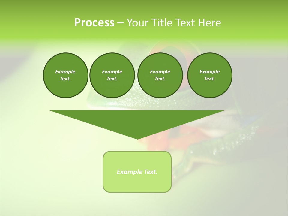 Wildlife Tree Frog Isolated On White PowerPoint Template