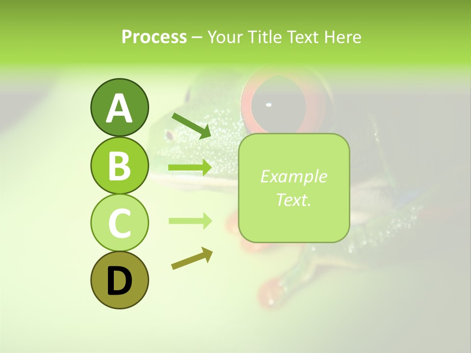 Wildlife Tree Frog Isolated On White PowerPoint Template