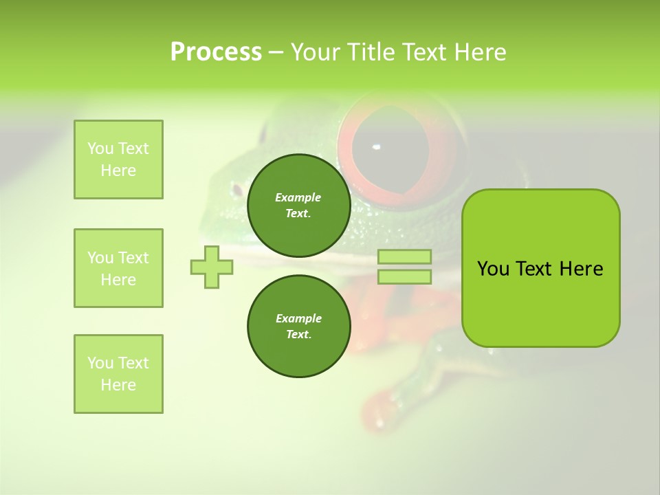 Wildlife Tree Frog Isolated On White PowerPoint Template