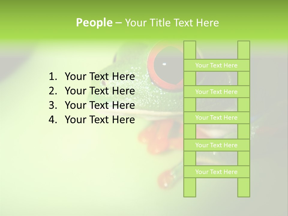 Wildlife Tree Frog Isolated On White PowerPoint Template