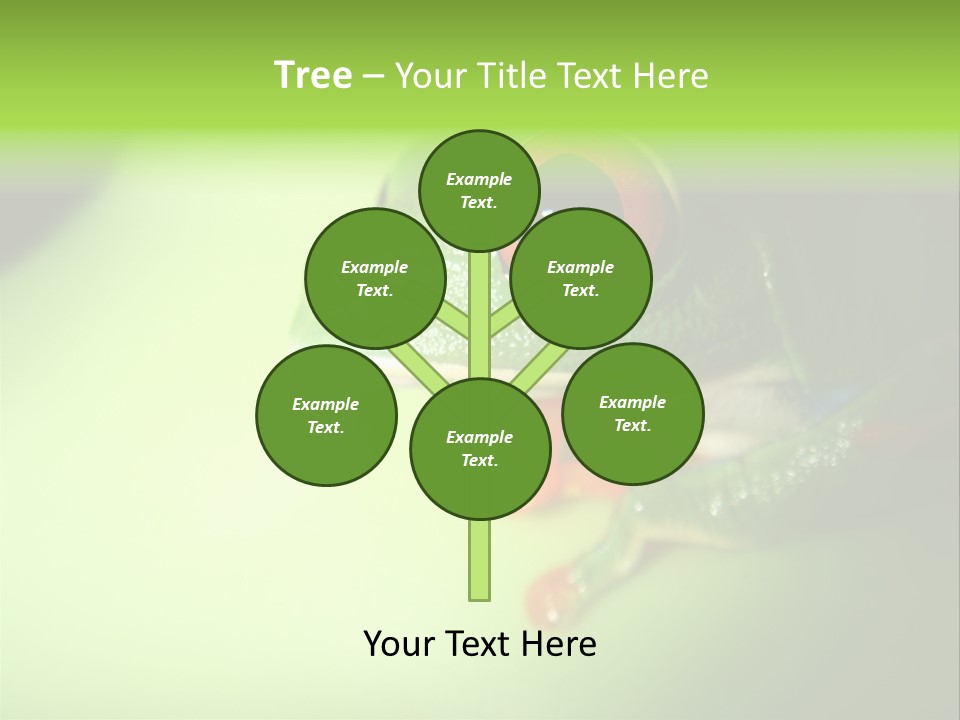 Wildlife Tree Frog Isolated On White PowerPoint Template